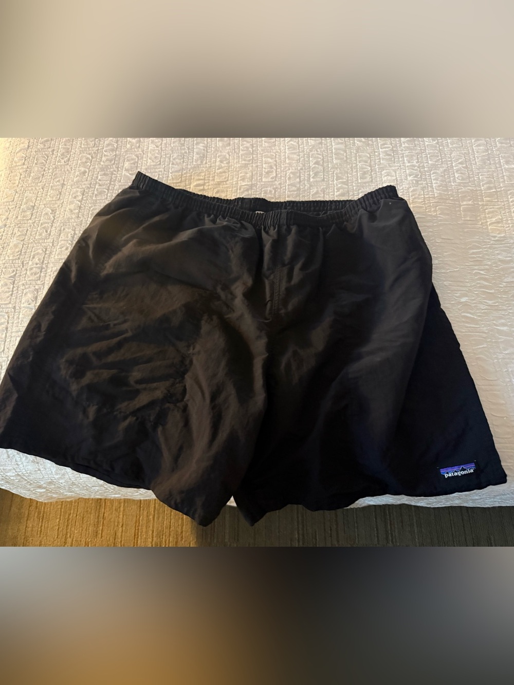 Patagonia Black Men's lined shorts
